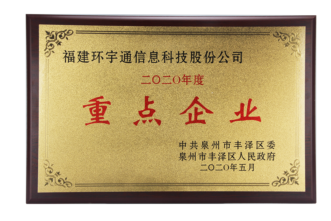 2020年重點(diǎn)企業(yè)